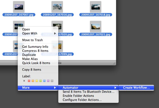 mac os x automator search for selected text