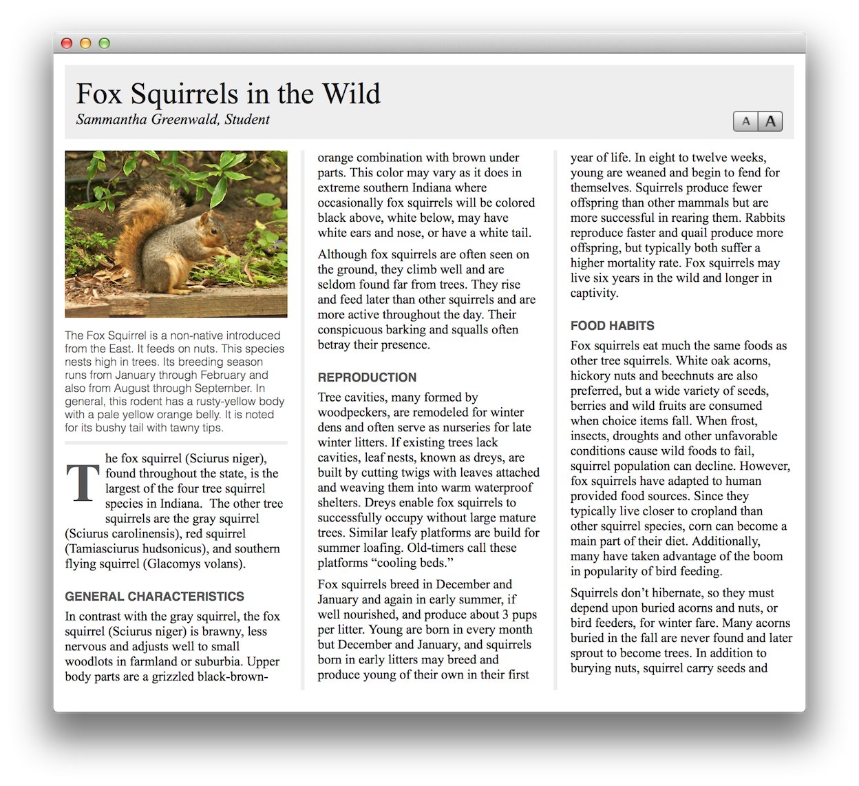 webkit-viewer-squirrel